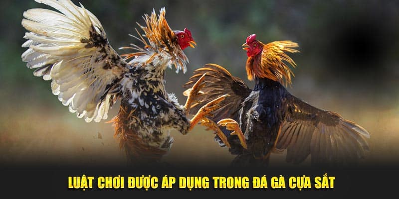 Luật chơi được áp dụng trong đá gà cựa sắt